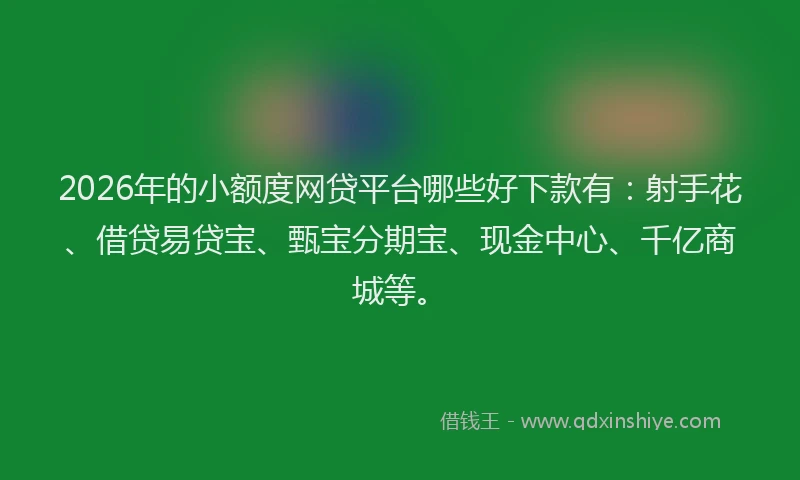 2026年的小额度网贷平台哪些好下款有：射手花、借贷易贷宝、甄宝分期宝、现金中心、千亿商城等。