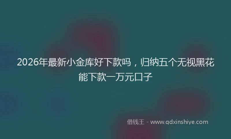 2026年最新小金库好下款吗，归纳五个无视黑花能下款一万元口子