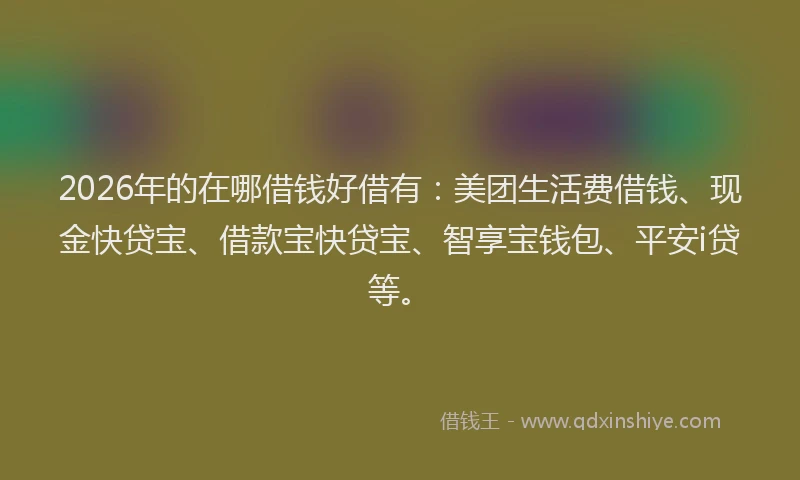 2026年的在哪借钱好借有:美团生活费借钱、现金快贷宝、借款宝快贷宝、智享宝钱包、平安i贷等。