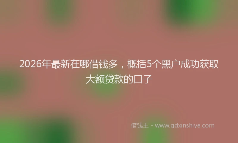 2026年最新在哪借钱多，概括5个黑户成功获取大额贷款的口子