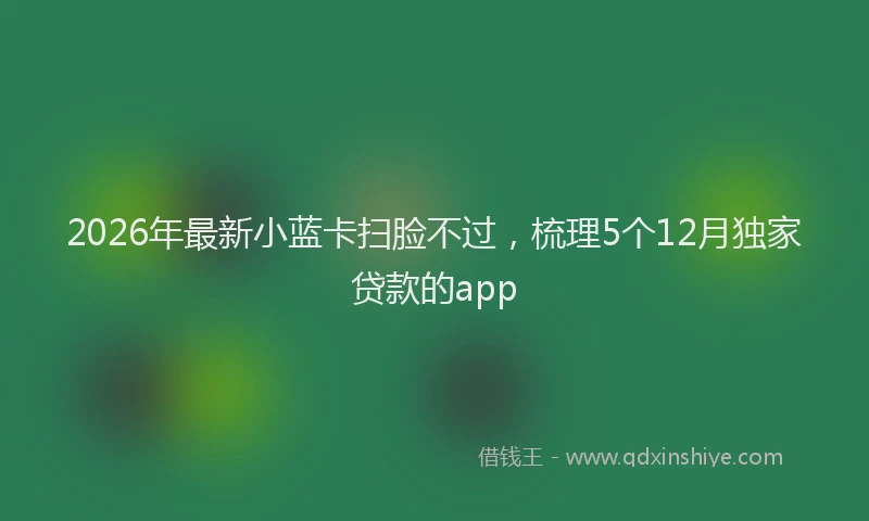 2026年最新小蓝卡扫脸不过，梳理5个12月独家贷款的app