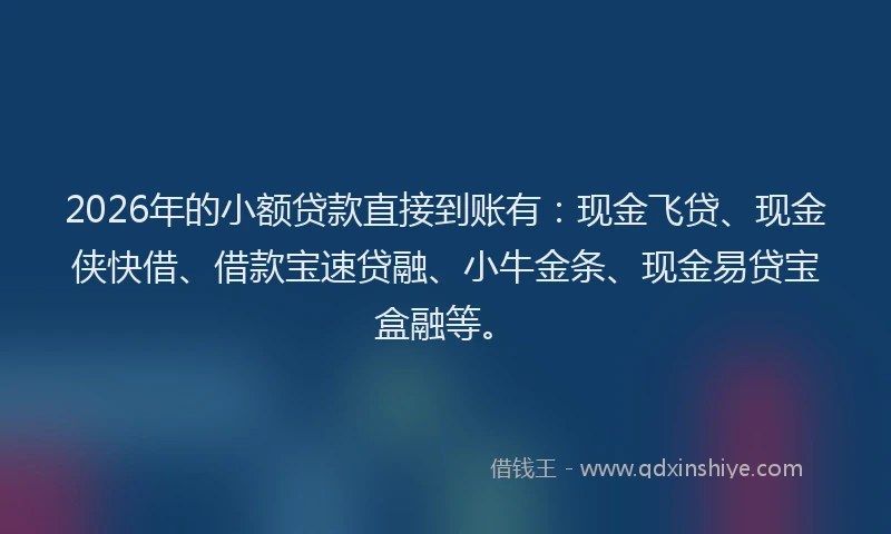 2026年的小额贷款直接到账有：现金飞贷、现金侠快借、借款宝速贷融、小牛金条、现金易贷宝盒融等。