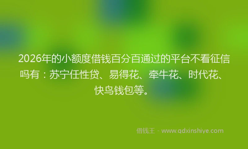 2026年的小额度借钱百分百通过的平台不看征信吗有：苏宁任性贷、易得花、牵牛花、时代花、快鸟钱包等。