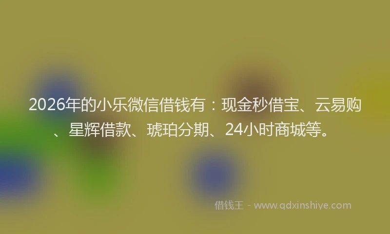 2026年的小乐微信借钱有:现金秒借宝、云易购、星辉借款、琥珀分期、24小时商城等。