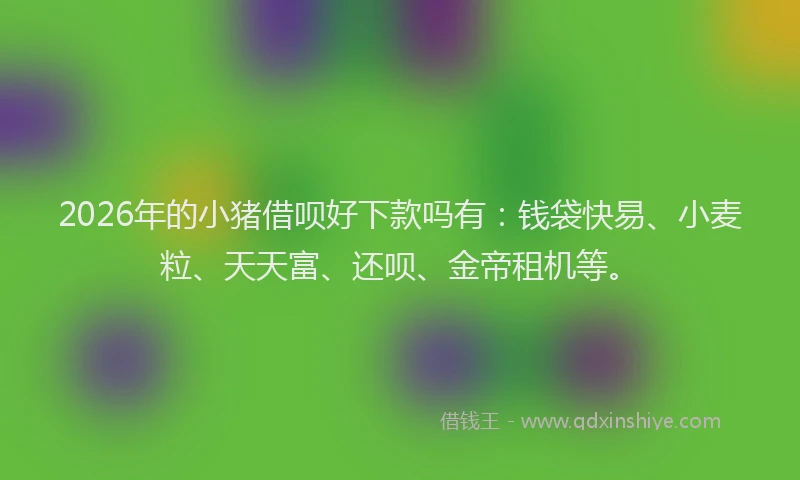 2026年的小猪借呗好下款吗有：钱袋快易、小麦粒、天天富、还呗、金帝租机等。