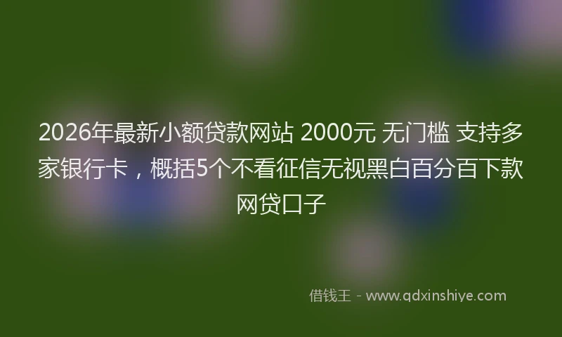 2026年最新小额贷款网站 2000元 无门槛 支持多家银行卡，概括5个不看征信无视黑白百分百下款网贷口子