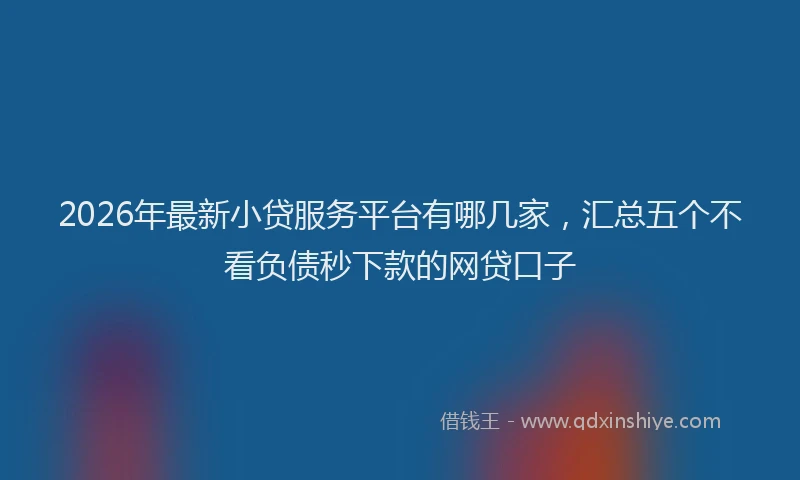 2026年最新小贷服务平台有哪几家，汇总五个不看负债秒下款的网贷口子
