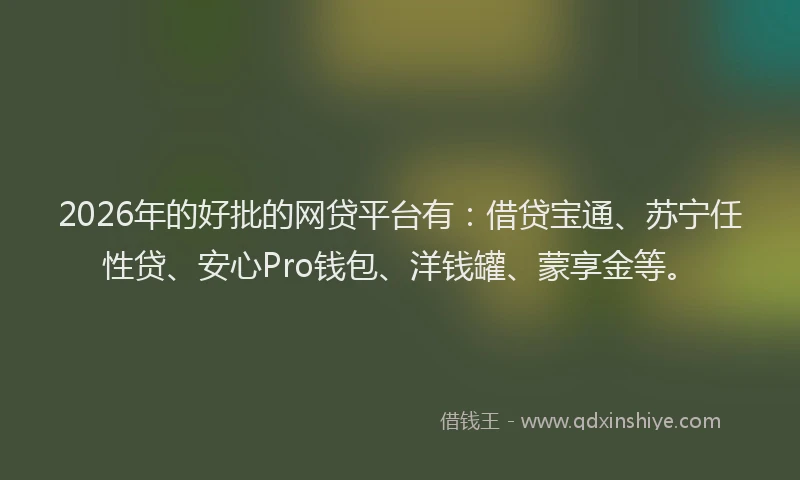 2026年的好批的网贷平台有：借贷宝通、苏宁任性贷、安心Pro钱包、洋钱罐、蒙享金等。