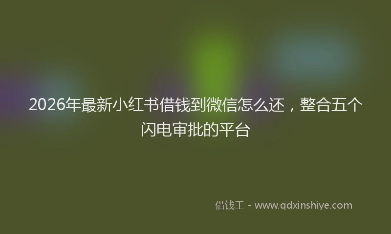 2026年最新小红书借钱到微信怎么还，整合五个闪电审批的平台
