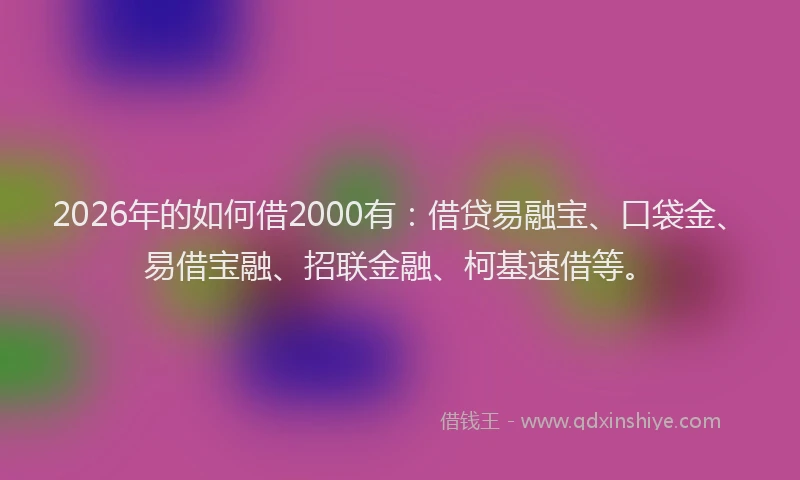 2026年的如何借2000有：借贷易融宝、口袋金、易借宝融、招联金融、柯基速借等。