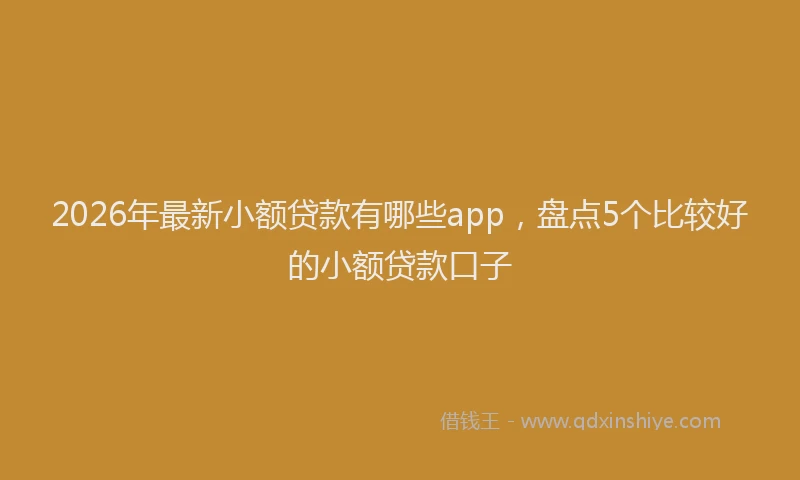 2026年最新小额贷款有哪些app，盘点5个比较好的小额贷款口子