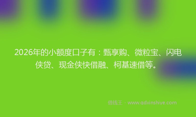 2026年的小额度口子有：甄享购、微粒宝、闪电侠贷、现金侠快借融、柯基速借等。