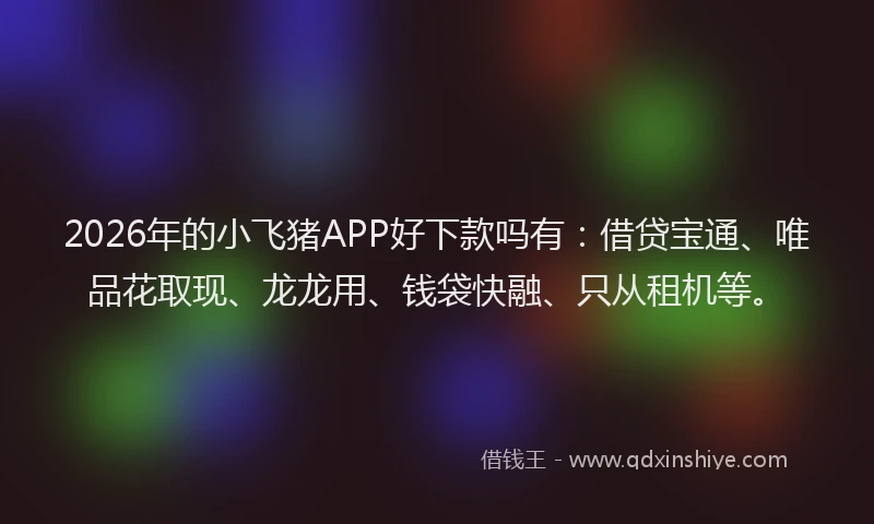 2026年的小飞猪APP好下款吗有：借贷宝通、唯品花取现、龙龙用、钱袋快融、只从租机等。