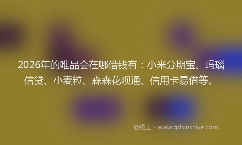 2026年的唯品会在哪借钱有：小米分期宝、玛瑙信贷、小麦粒、森森花呗通、信用卡易借等。