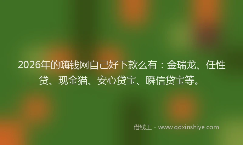 2026年的嗨钱网自己好下款么有:金瑞龙、任性贷、现金猫、安心贷宝、瞬信贷宝等。
