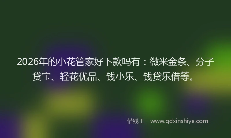 2026年的小花管家好下款吗有：微米金条、分子贷宝、轻花优品、钱小乐、钱贷乐借等。