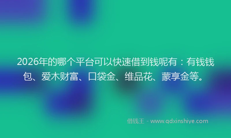 2026年的哪个平台可以快速借到钱呢有:有钱钱包、爱木财富、口袋金、维品花、蒙享金等。