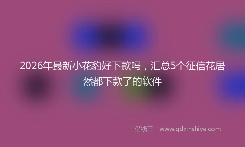 2026年最新小花豹好下款吗，汇总5个征信花居然都下款了的软件