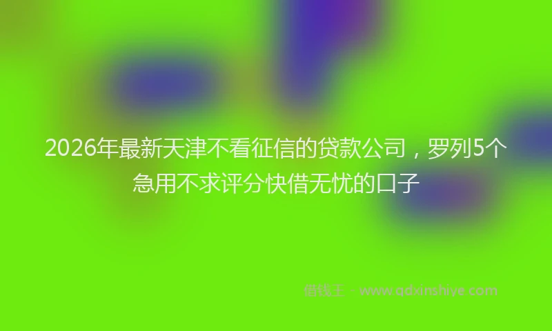 2026年最新天津不看征信的贷款公司,罗列5个急用不求评分快借无忧的口子