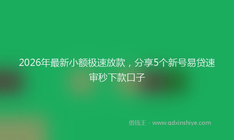 2026年最新小额极速放款，分享5个新号易贷速审秒下款口子
