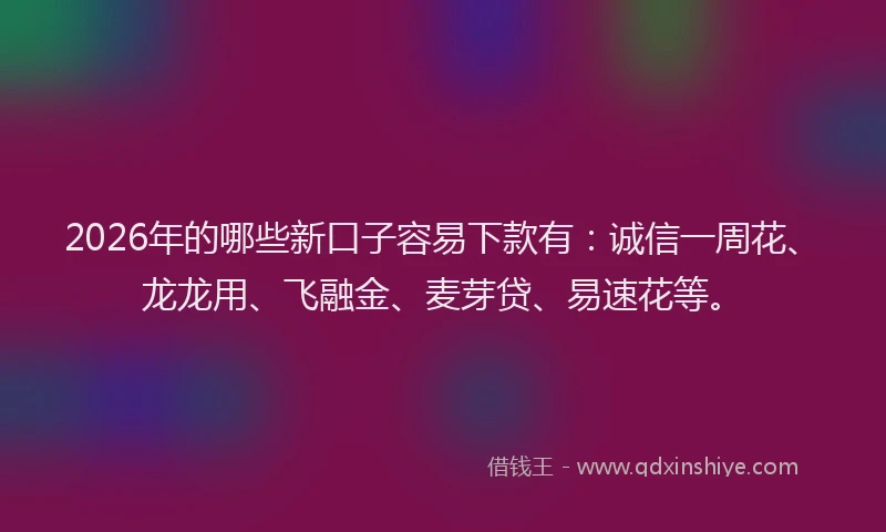 2026年的哪些新口子容易下款有：诚信一周花、龙龙用、飞融金、麦芽贷、易速花等。