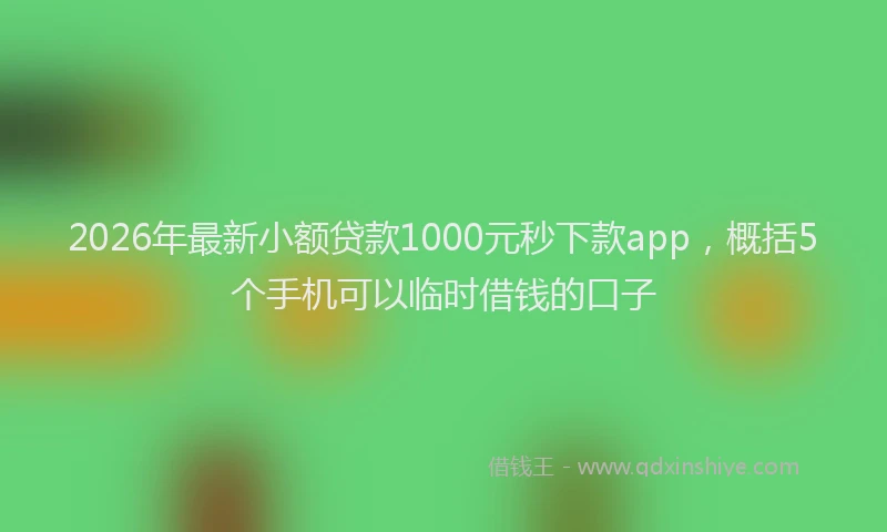 2026年最新小额贷款1000元秒下款app，概括5个手机可以临时借钱的口子