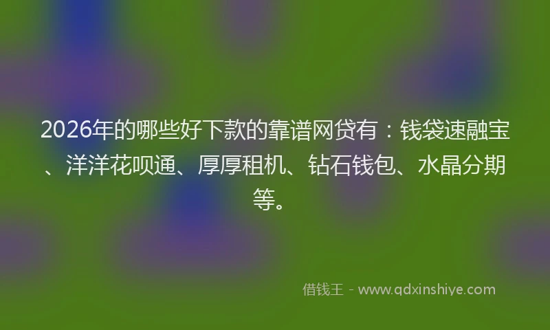 2026年的哪些好下款的靠谱网贷有:钱袋速融宝、洋洋花呗通、厚厚租机、钻石钱包、水晶分期等。