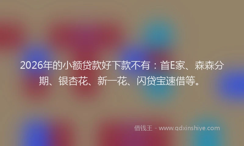 2026年的小额贷款好下款不有：首E家、森森分期、银杏花、新一花、闪贷宝速借等。