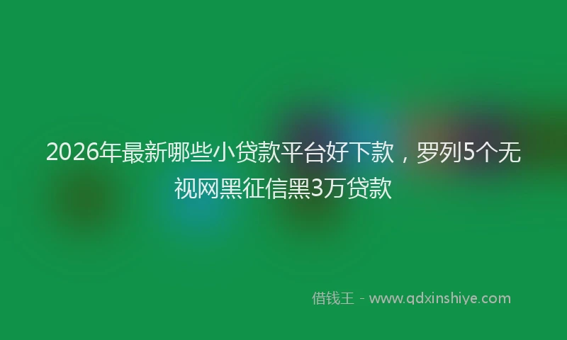 2026年最新哪些小贷款平台好下款，罗列5个无视网黑征信黑3万贷款