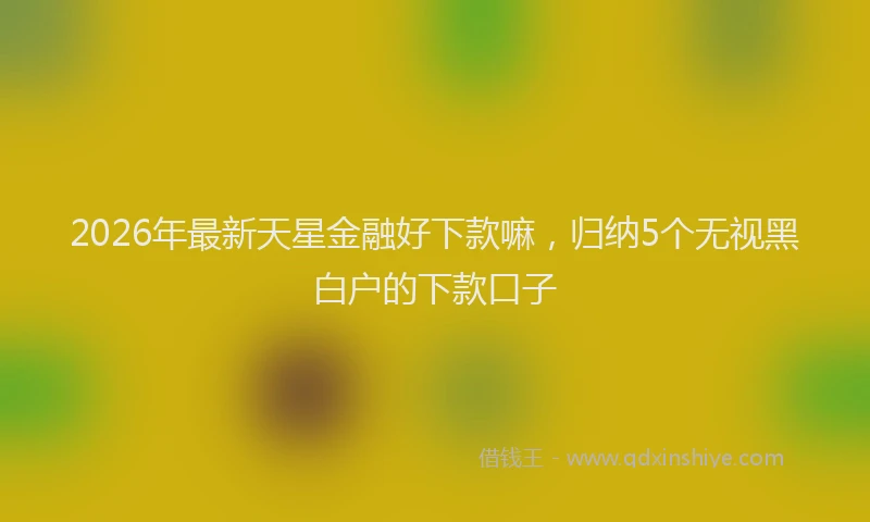 2026年最新天星金融好下款嘛,归纳5个无视黑白户的下款口子