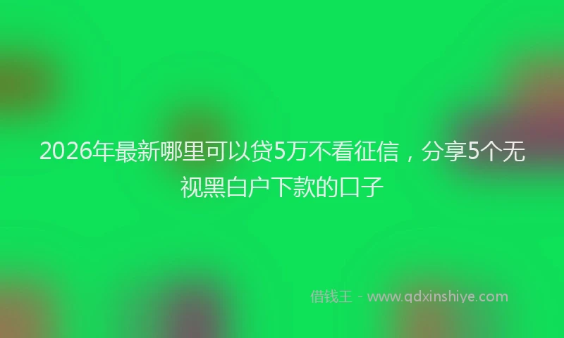 2026年最新哪里可以贷5万不看征信，分享5个无视黑白户下款的口子
