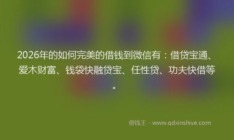 2026年的如何完美的借钱到微信有：借贷宝通、爱木财富、钱袋快融贷宝、任性贷、功夫快借等。