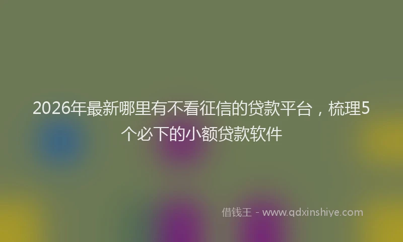 2026年最新哪里有不看征信的贷款平台，梳理5个必下的小额贷款软件