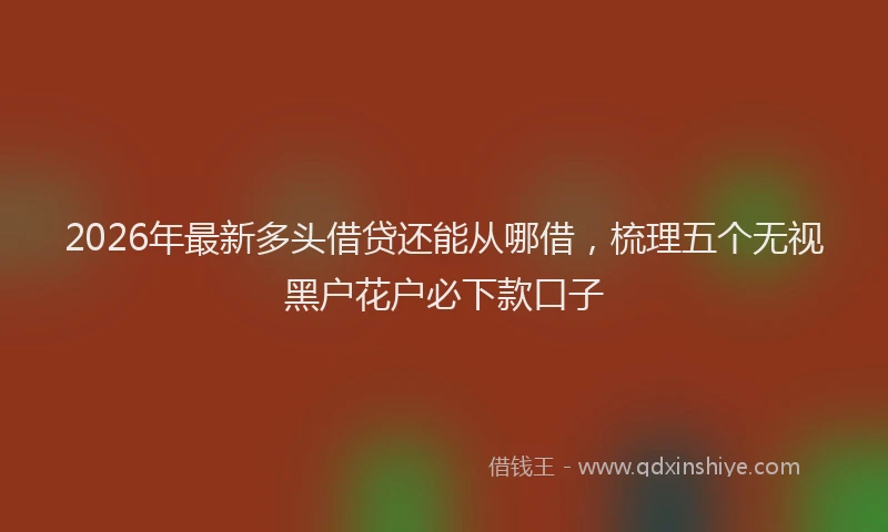 2026年最新多头借贷还能从哪借,梳理五个无视黑户花户必下款口子
