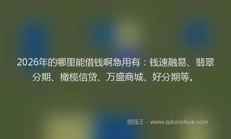 2026年的哪里能借钱啊急用有:钱速融易、翡翠分期、橄榄信贷、万盛商城、好分期等。