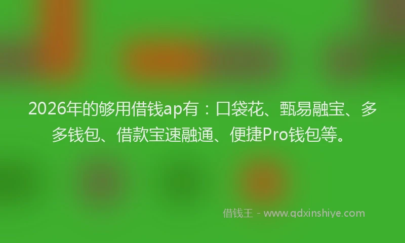 2026年的够用借钱ap有:口袋花、甄易融宝、多多钱包、借款宝速融通、便捷Pro钱包等。