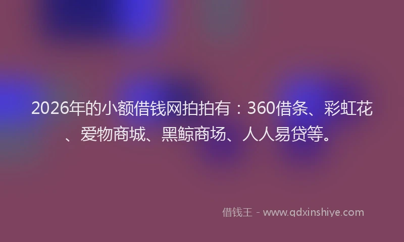 2026年的小额借钱网拍拍有：360借条、彩虹花、爱物商城、黑鲸商场、人人易贷等。