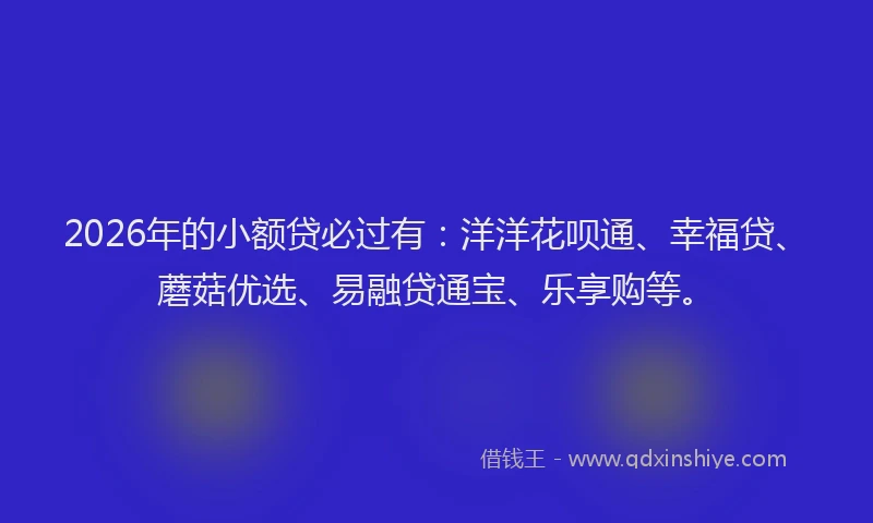 2026年的小额贷必过有：洋洋花呗通、幸福贷、蘑菇优选、易融贷通宝、乐享购等。