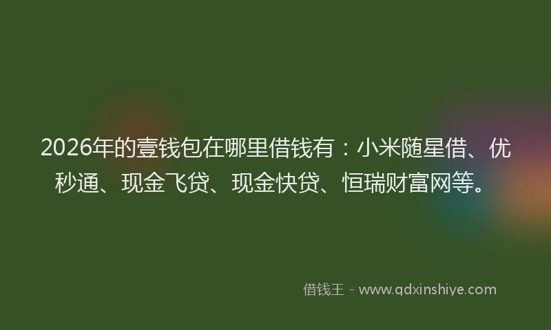 2026年的壹钱包在哪里借钱有：小米随星借、优秒通、现金飞贷、现金快贷、恒瑞财富网等。
