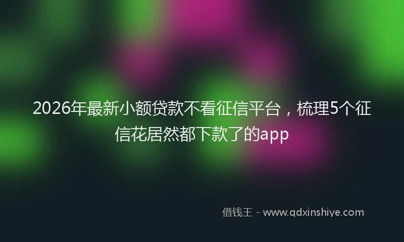 2026年最新小额贷款不看征信平台，梳理5个征信花居然都下款了的app