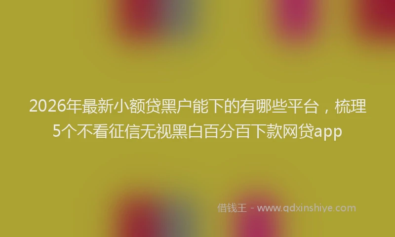 2026年最新小额贷黑户能下的有哪些平台，梳理5个不看征信无视黑白百分百下款网贷app