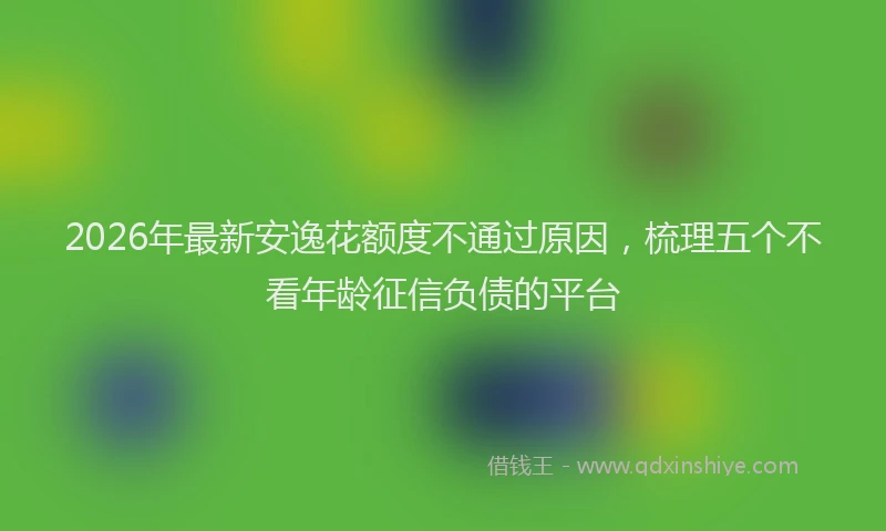 2026年最新安逸花额度不通过原因，梳理五个不看年龄征信负债的平台