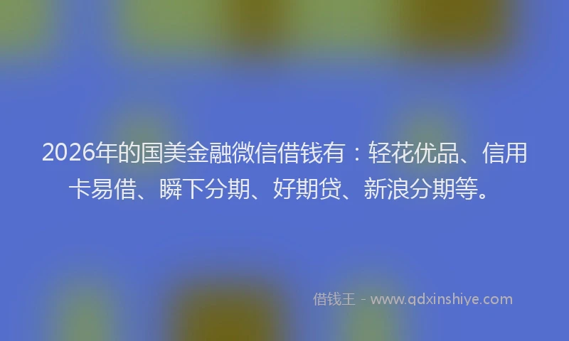 2026年的国美金融微信借钱有：轻花优品、信用卡易借、瞬下分期、好期贷、新浪分期等。