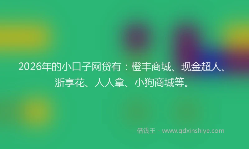 2026年的小口子网贷有：橙丰商城、现金超人、浙享花、人人拿、小狗商城等。