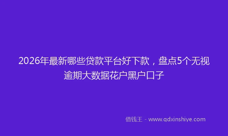 2026年最新哪些贷款平台好下款，盘点5个无视逾期大数据花户黑户口子