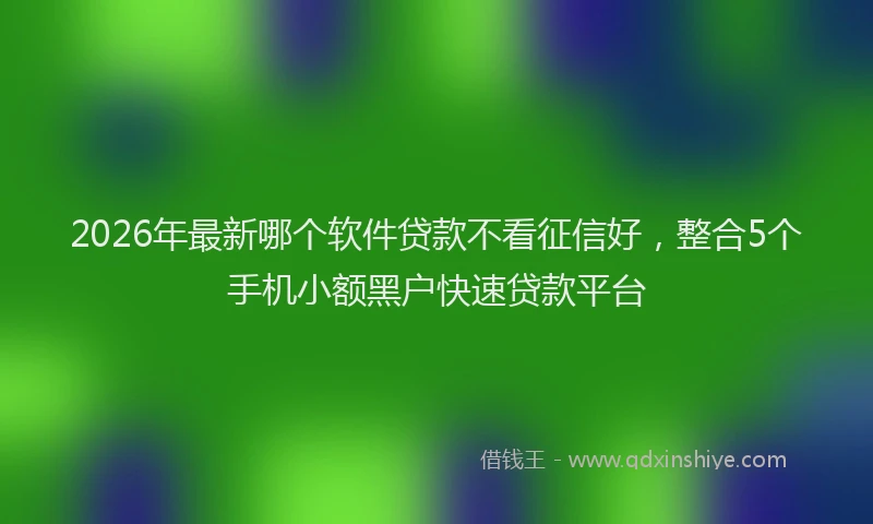 2026年最新哪个软件贷款不看征信好，整合5个手机小额黑户快速贷款平台