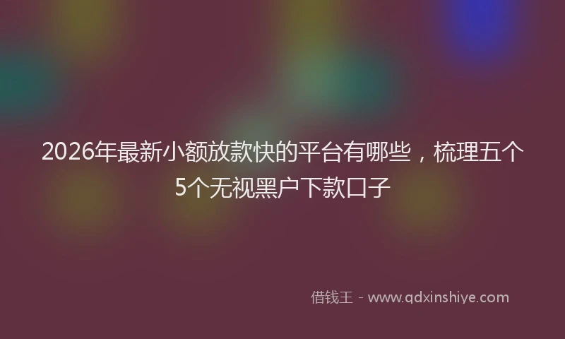 2026年最新小额放款快的平台有哪些，梳理五个5个无视黑户下款口子
