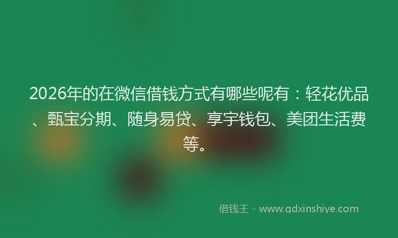 2026年的在微信借钱方式有哪些呢有：轻花优品、甄宝分期、随身易贷、享宇钱包、美团生活费等。