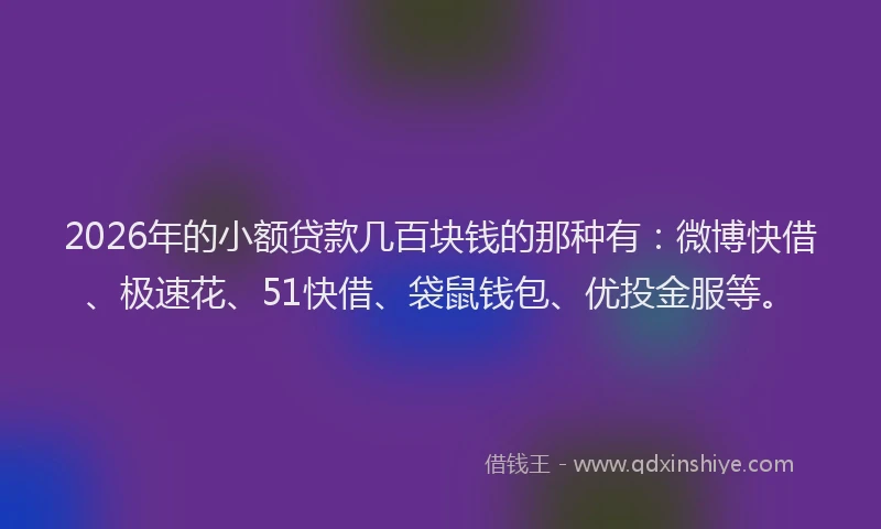 2026年的小额贷款几百块钱的那种有：微博快借、极速花、51快借、袋鼠钱包、优投金服等。