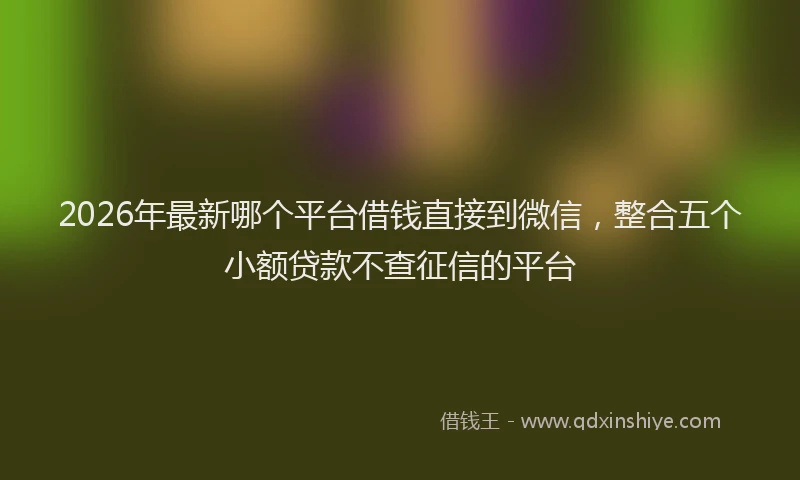 2026年最新哪个平台借钱直接到微信,整合五个小额贷款不查征信的平台